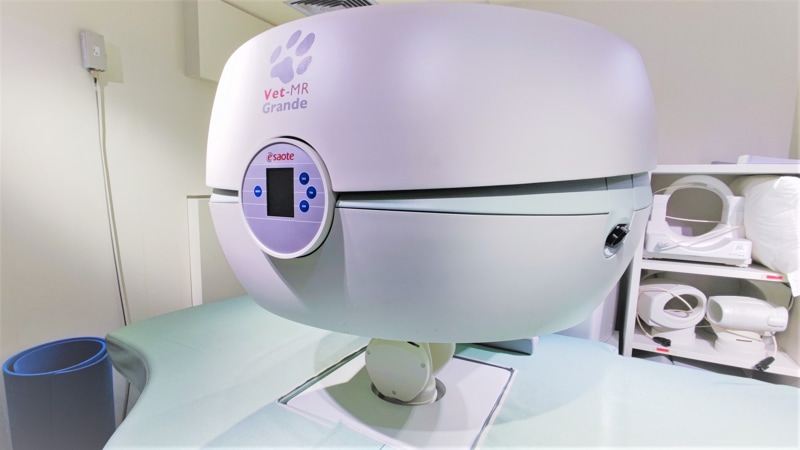 寵物磁力共振掃描(MRI)